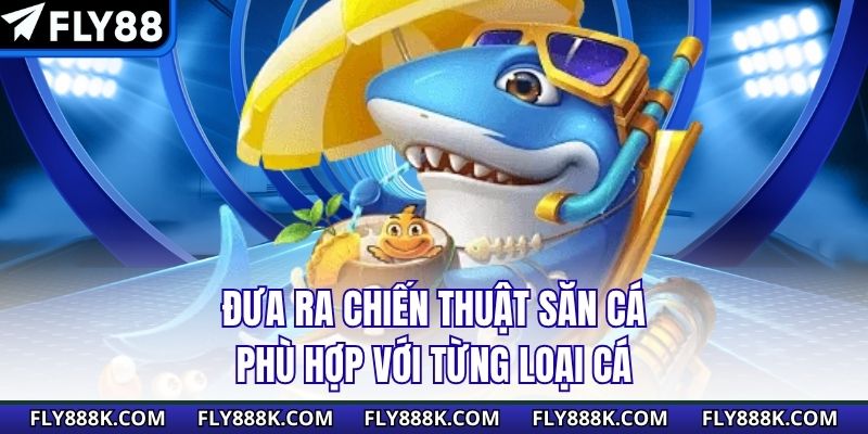 Đưa ra chiến thuật săn cá phù hợp với từng loại cá